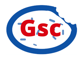 GSC (4).png